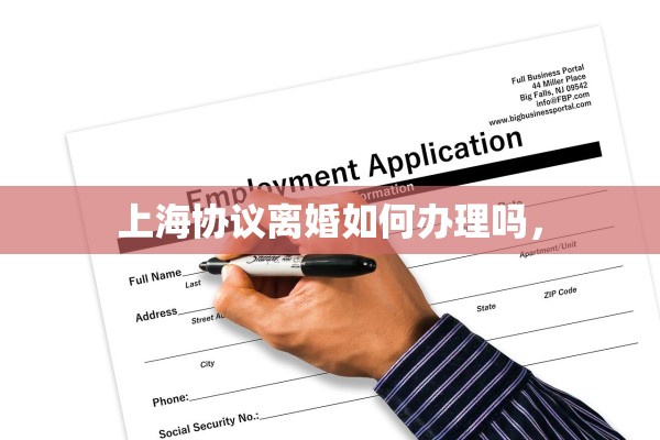 上海协议离婚如何办理吗，