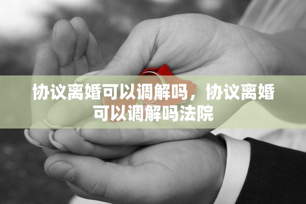 协议离婚可以调解吗，协议离婚可以调解吗法院