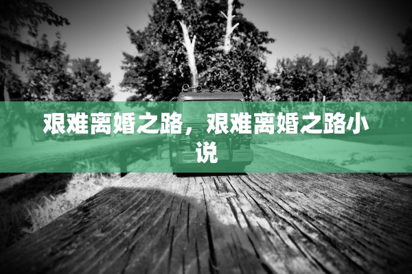 艰难离婚之路，艰难离婚之路小说