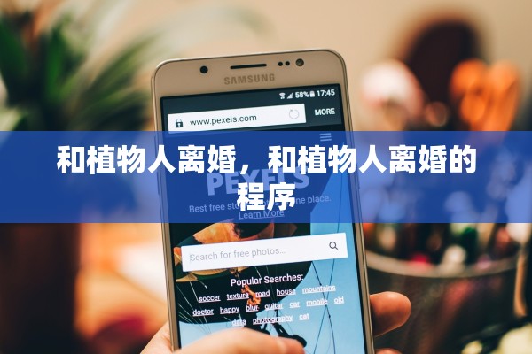 和植物人离婚，和植物人离婚的程序
