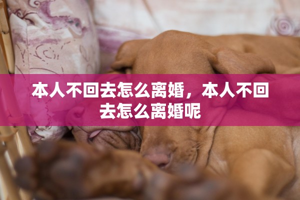本人不回去怎么离婚，本人不回去怎么离婚呢