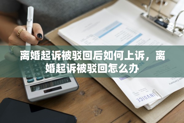 离婚起诉被驳回后如何上诉，离婚起诉被驳回怎么办
