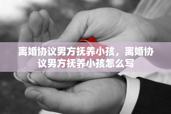 离婚协议男方抚养小孩，离婚协议男方抚养小孩怎么写