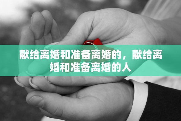 献给离婚和准备离婚的，献给离婚和准备离婚的人