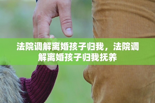 法院调解离婚孩子归我，法院调解离婚孩子归我抚养
