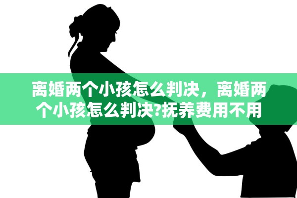 离婚两个小孩怎么判决，离婚两个小孩怎么判决?抚养费用不用