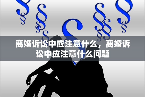 离婚诉讼中应注意什么，离婚诉讼中应注意什么问题