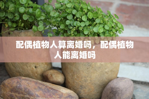 配偶植物人算离婚吗，配偶植物人能离婚吗