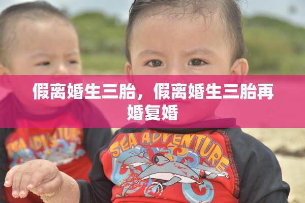 假离婚生三胎，假离婚生三胎再婚复婚