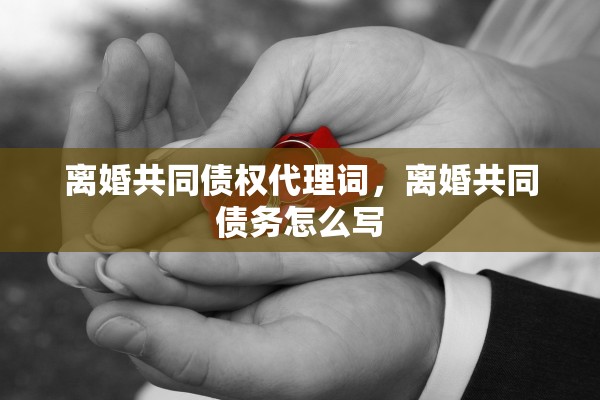 离婚共同债权代理词，离婚共同债务怎么写