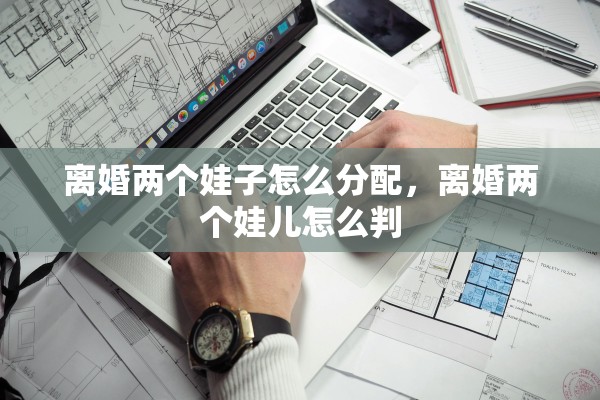 离婚两个娃子怎么分配，离婚两个娃儿怎么判