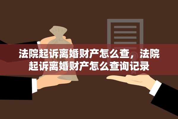 法院起诉离婚财产怎么查，法院起诉离婚财产怎么查询记录