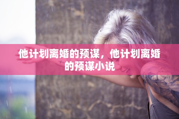 他计划离婚的预谋，他计划离婚的预谋小说