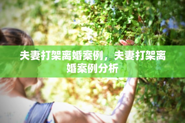 夫妻打架离婚案例，夫妻打架离婚案例分析