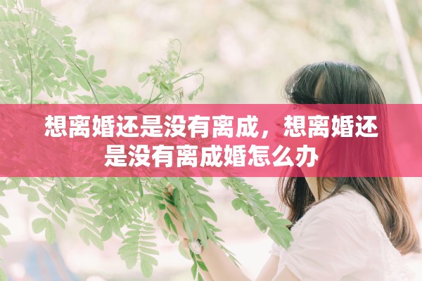 想离婚还是没有离成，想离婚还是没有离成婚怎么办