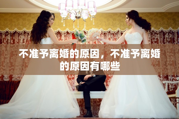 不准予离婚的原因，不准予离婚的原因有哪些