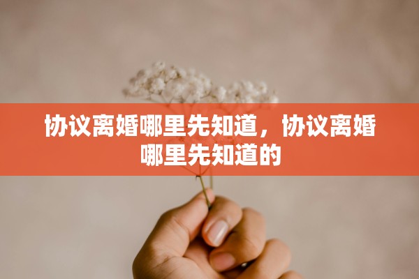 协议离婚哪里先知道，协议离婚哪里先知道的