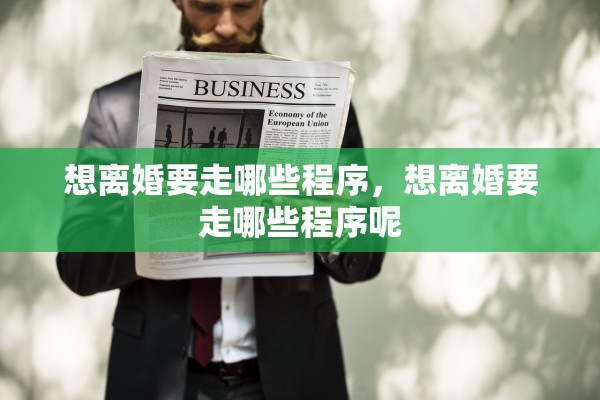 想离婚要走哪些程序，想离婚要走哪些程序呢
