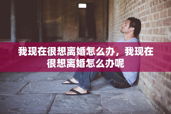 我现在很想离婚怎么办，我现在很想离婚怎么办呢