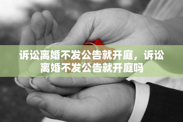 诉讼离婚不发公告就开庭，诉讼离婚不发公告就开庭吗