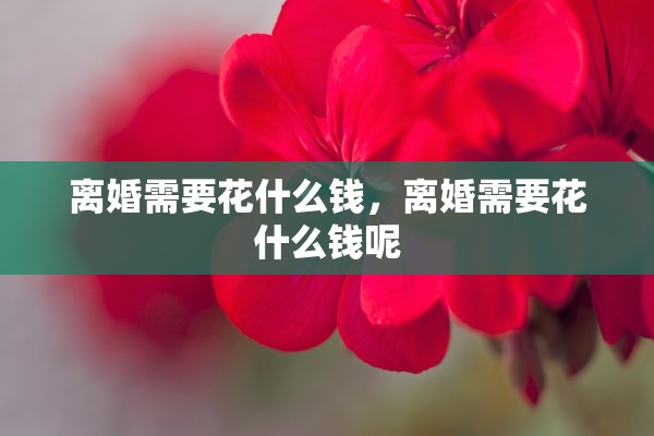 离婚需要花什么钱，离婚需要花什么钱呢