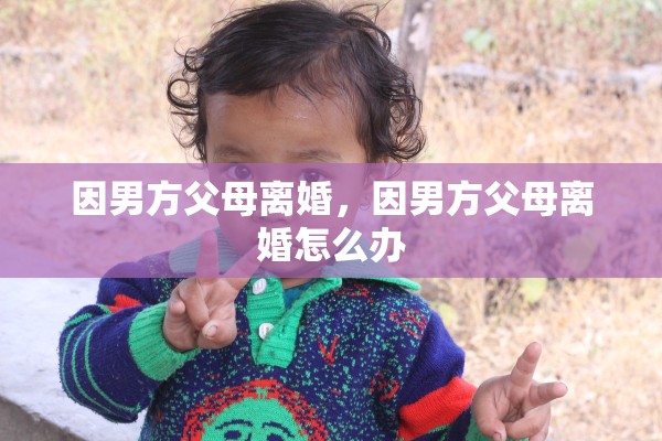 因男方父母离婚，因男方父母离婚怎么办