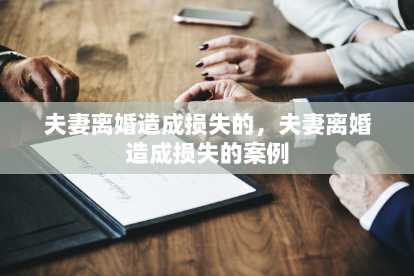 夫妻离婚造成损失的，夫妻离婚造成损失的案例