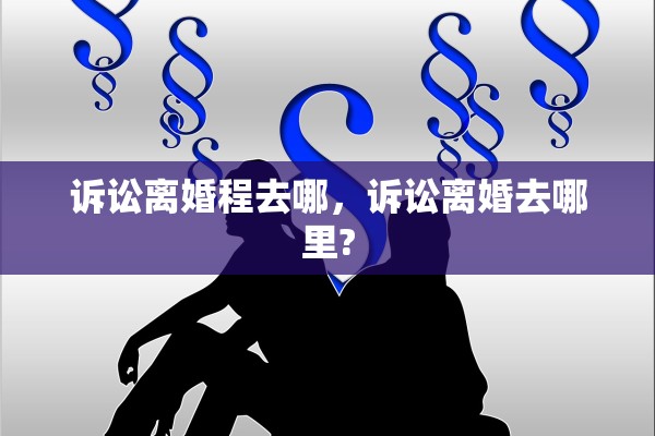 诉讼离婚程去哪，诉讼离婚去哪里?