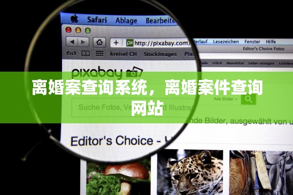 离婚案查询系统,离婚案件查询网站 离婚案查询系统,离婚案件查询网站