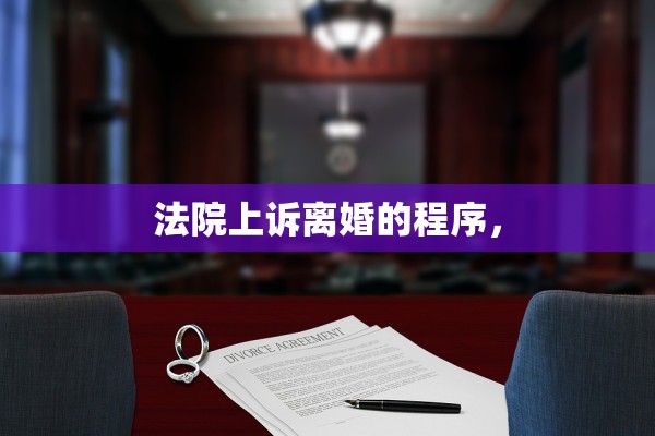 法院上诉离婚的程序，