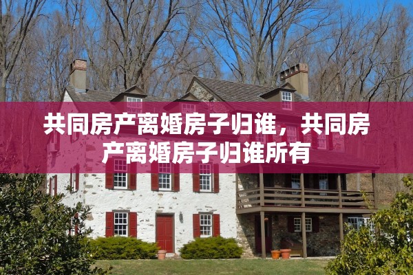 共同房产离婚房子归谁，共同房产离婚房子归谁所有