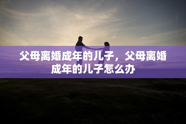 父母离婚成年的儿子，父母离婚成年的儿子怎么办