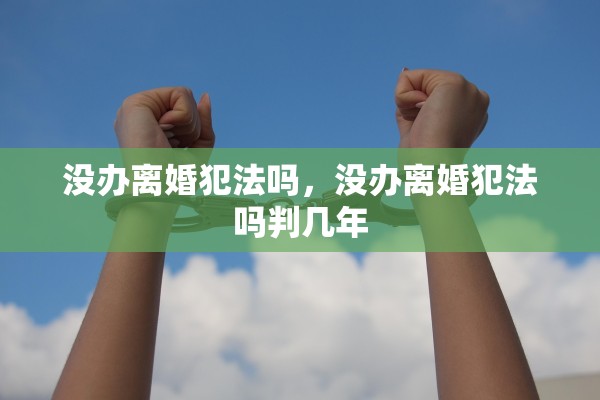 没办离婚犯法吗，没办离婚犯法吗判几年