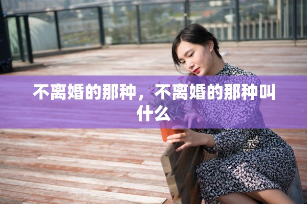 不离婚的那种，不离婚的那种叫什么