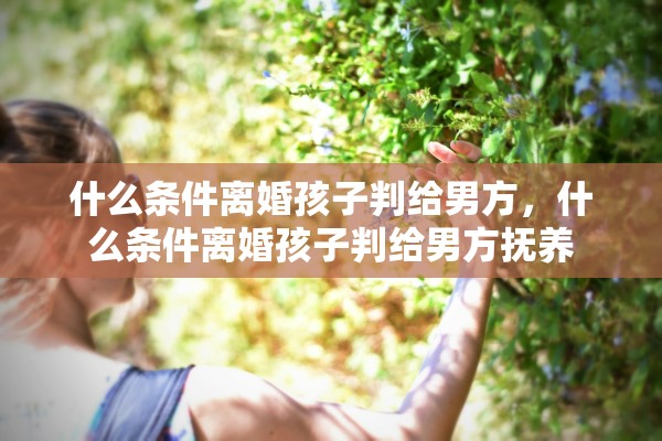 什么条件离婚孩子判给男方，什么条件离婚孩子判给男方抚养