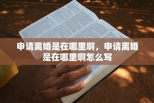 申请离婚是在哪里啊，申请离婚是在哪里啊怎么写