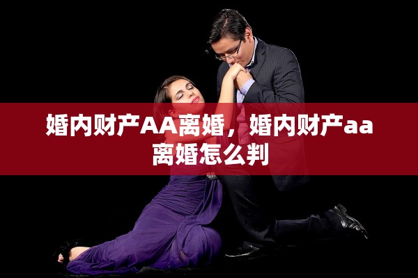 婚内财产AA离婚，婚内财产aa离婚怎么判