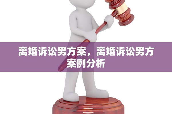 离婚诉讼男方案,离婚诉讼男方案例分析 离婚诉讼男方案,离婚诉讼男方案例分析