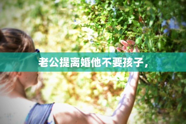 老公提离婚他不要孩子, 老公提离婚他不要孩子,