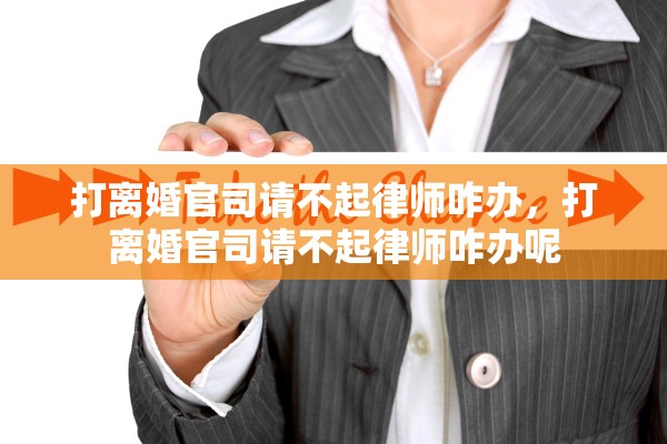 打离婚官司请不起律师咋办，打离婚官司请不起律师咋办呢