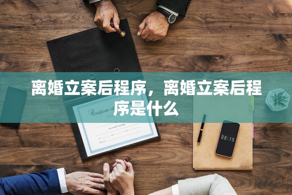 离婚立案后程序，离婚立案后程序是什么