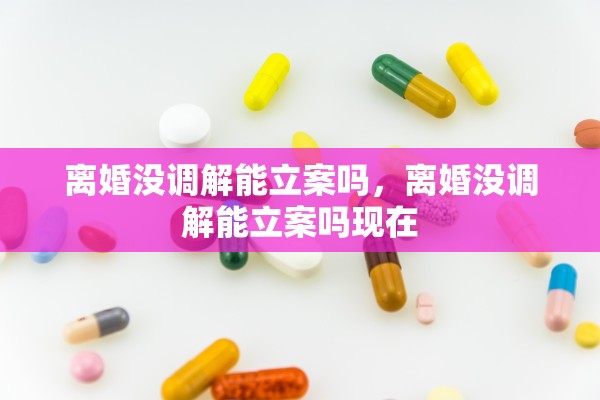 离婚没调解能立案吗，离婚没调解能立案吗现在