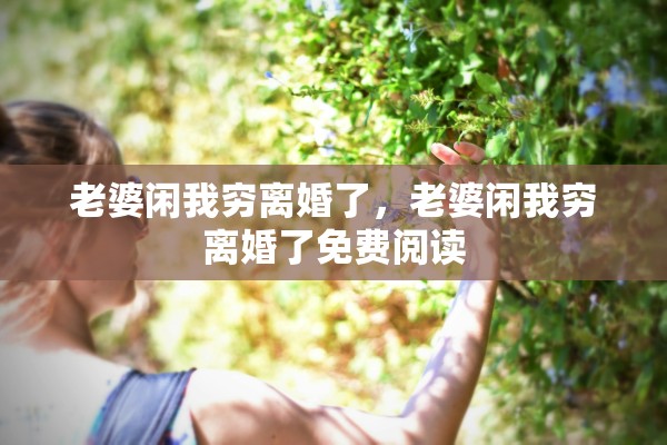 老婆闲我穷离婚了，老婆闲我穷离婚了免费阅读