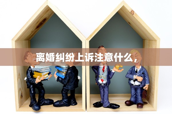 离婚纠纷上诉注意什么，