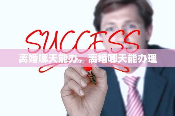 离婚哪天能办，离婚哪天能办理