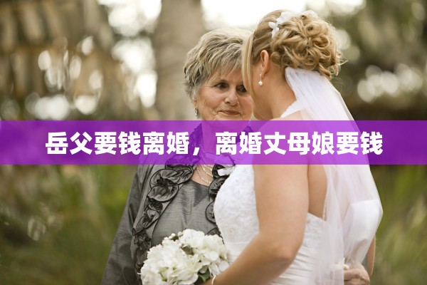 岳父要钱离婚，离婚丈母娘要钱