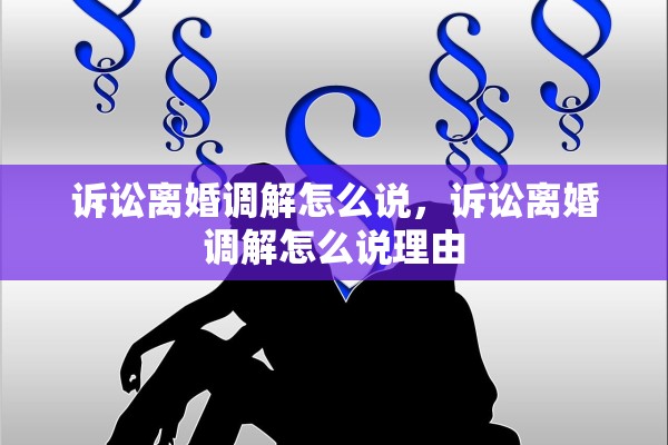 诉讼离婚调解怎么说，诉讼离婚调解怎么说理由