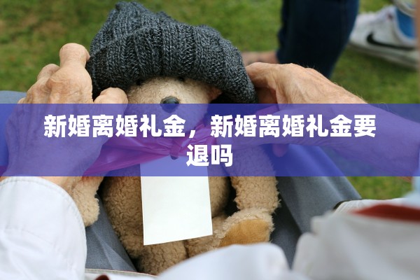 新婚离婚礼金，新婚离婚礼金要退吗