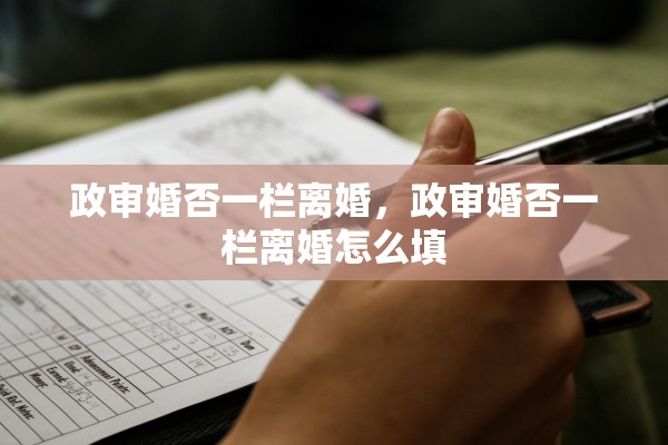 政审婚否一栏离婚，政审婚否一栏离婚怎么填
