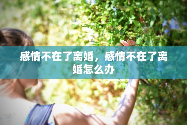 感情不在了离婚,感情不在了离婚怎么办 感情不在了离婚,感情不在了离婚怎么办